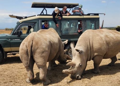 8 Days Adventure (Nairobi - Ol Pejeta - Samburu - Nairobi)