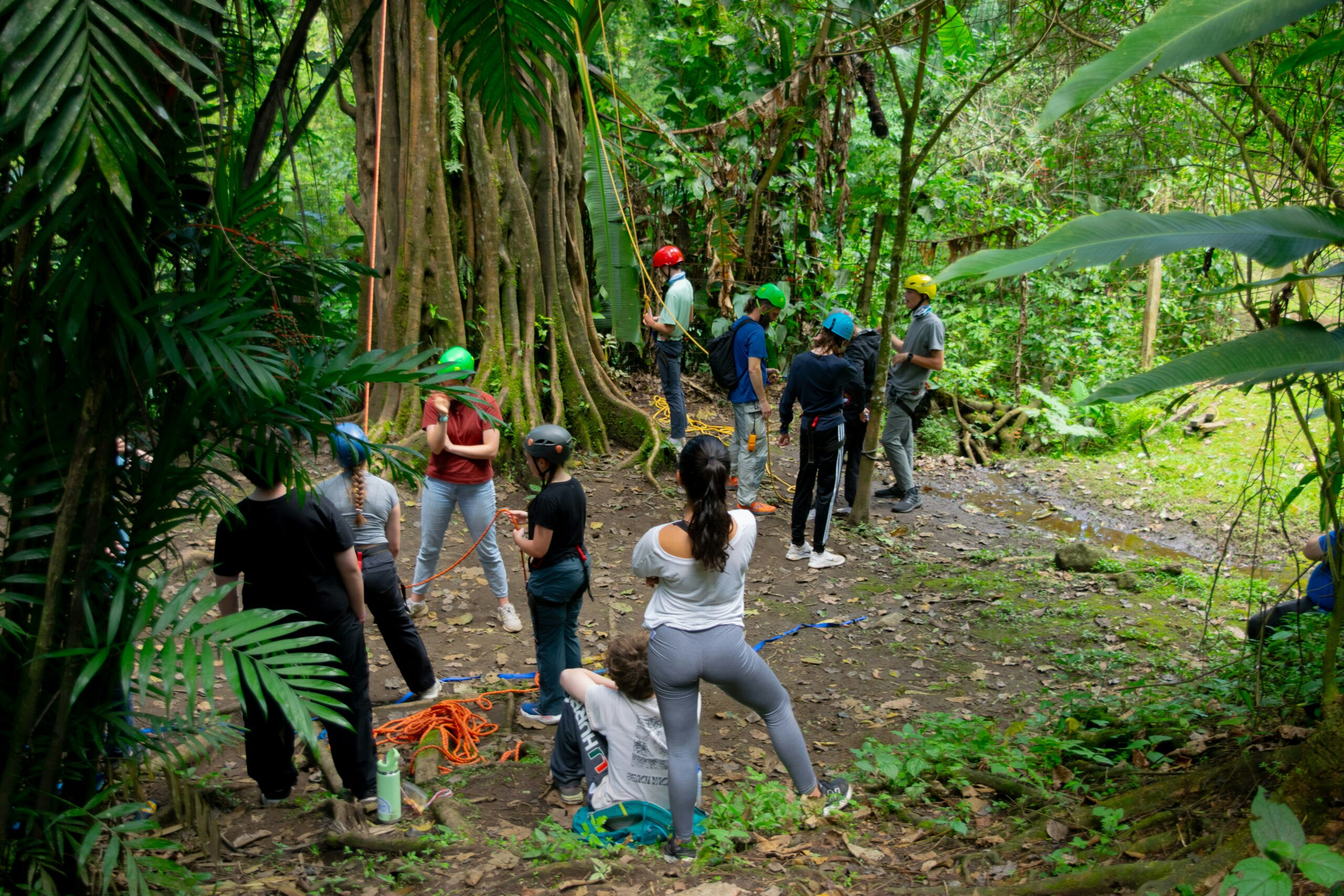 Students on a field trip in a forest